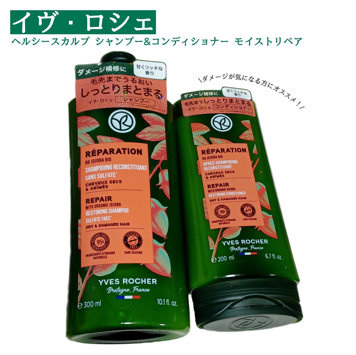 ヘルシースカルプシャンプー/コンディショナー〈モイストリペア〉/イヴ・ロシェ/市販シャンプーを使ったクチコミ(1枚目)