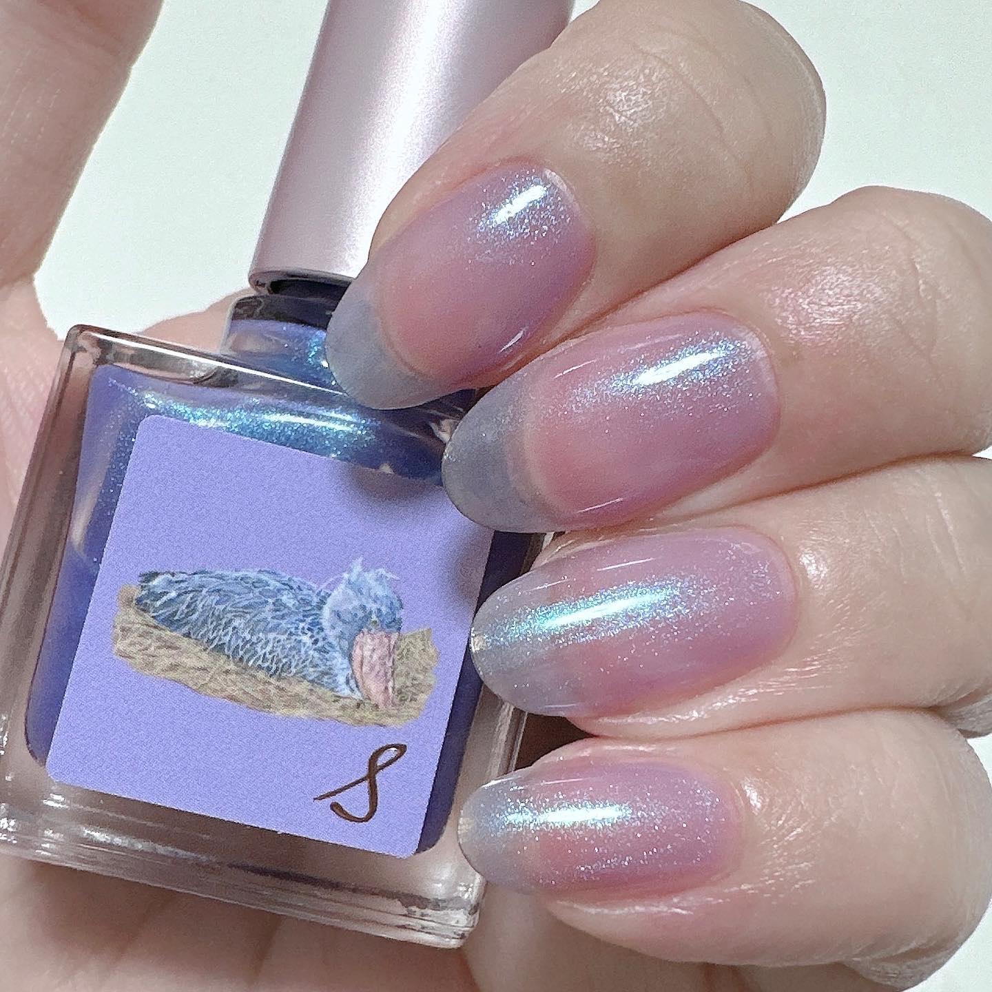 ネイルエス/ nail S(ネイルエス) /マニキュアを使ったクチコミ（2枚目）