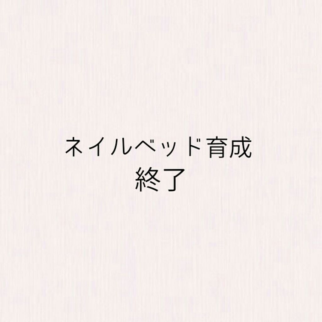 自己紹介/雑談/その他を使ったクチコミ（1枚目）