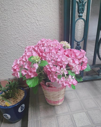 ハートメルター/Kaja(カジャ)/口紅を使ったクチコミ(5枚目)