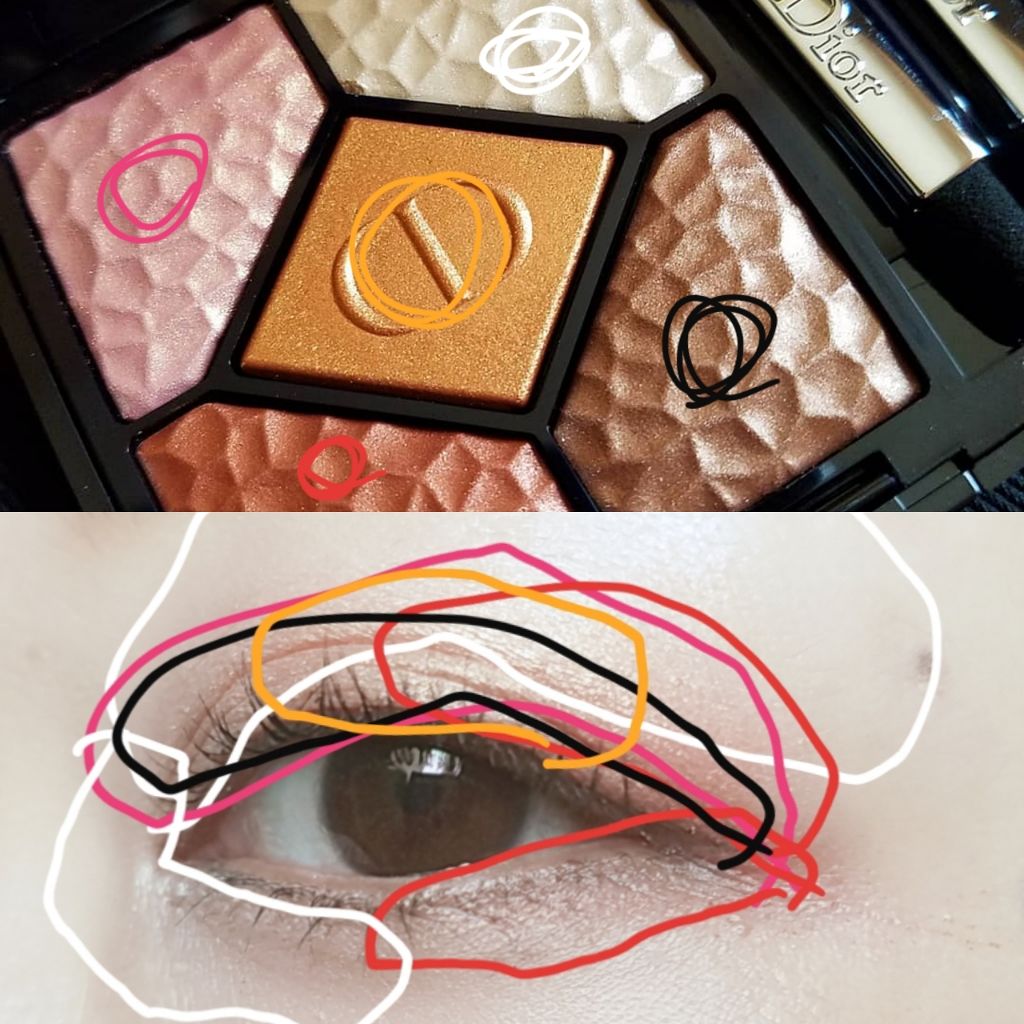 サンク クルール<ワイルド アース＞/Dior/アイシャドウパレットを使ったクチコミ（2枚目）