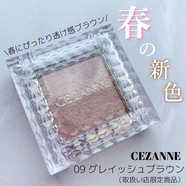 シングルカラーアイシャドウ 09 グレイッシュブラウン/CEZANNE/単色アイシャドウを使ったクチコミ（1枚目）