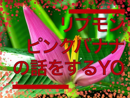 ケイト リップモンスター/KATE/口紅を使ったクチコミ(1枚目)