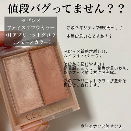 ルースセッティングパウダー トランスルーセント/ローラ メルシエ/ルースパウダーを使ったクチコミ(4枚目)