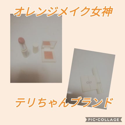 シルキーリップ/CILY/口紅を使ったクチコミ(1枚目)