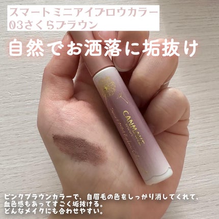 ラスティングマルチアイベース WP/キャンメイク/アイシャドウベースを使ったクチコミ(8枚目)