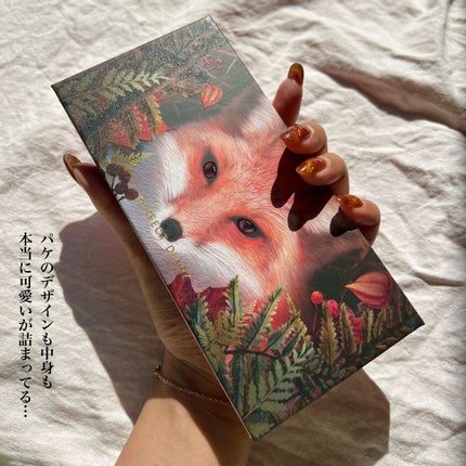 エクスプローラ12色 動物アイシャドウパレット/PERFECT DIARY/アイシャドウパレットを使ったクチコミ(5枚目)