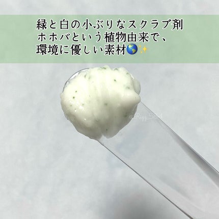 フェイスポリッシャー ピュリファイング/SABON/スクラブ・ゴマージュを使ったクチコミ(3枚目)