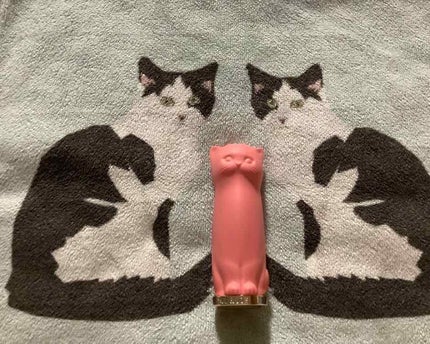 リップスティック ケース N/PAUL & JOE BEAUTE/その他化粧小物を使ったクチコミ(1枚目)