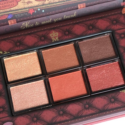 ナイストゥミーチュートランク テラコッタベージュ 暖流の底/MAJOLICA MAJORCA/アイシャドウパレットを使ったクチコミ(2枚目)