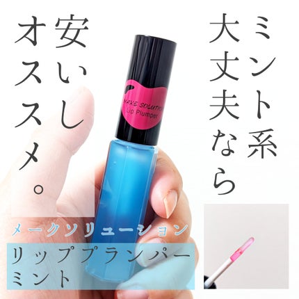 リッププランパー/メークソリューション/リッププランパーを使ったクチコミ(1枚目)