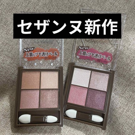 ニュアンスオンアイシャドウ/CEZANNE/アイシャドウパレットを使ったクチコミ(1枚目)