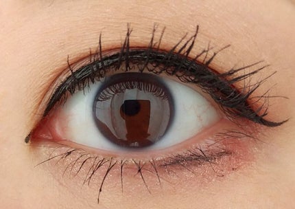 シグニチャー カラー アイズ/SUQQU/アイシャドウパレットを使ったクチコミ(2枚目)