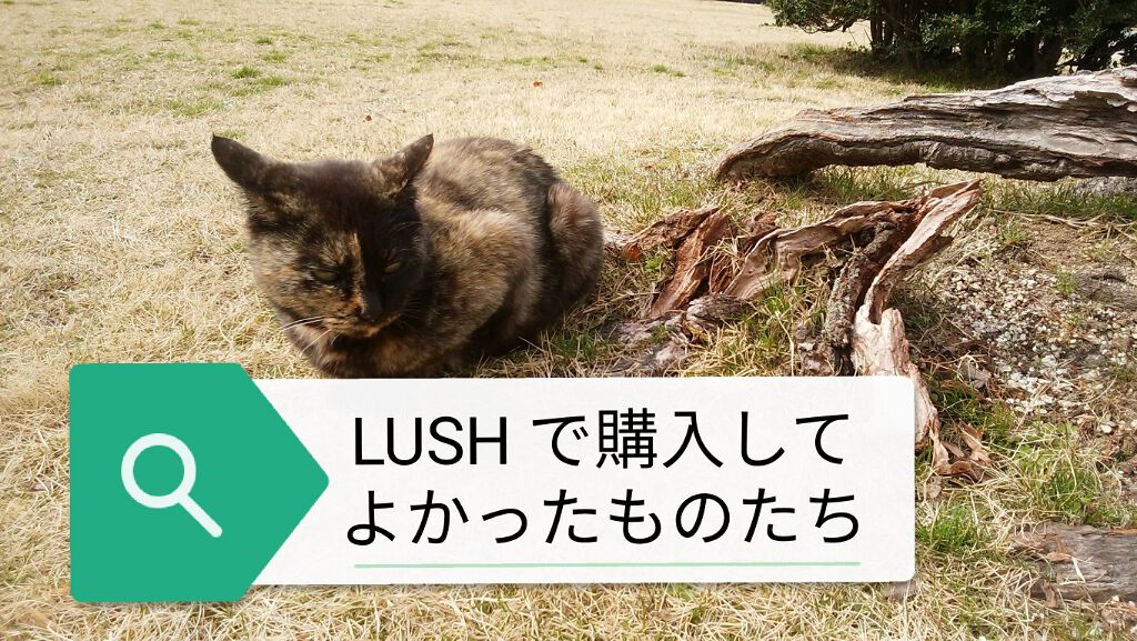 ティーツリーウォーター/ラッシュ/ミスト状化粧水を使ったクチコミ(1枚目)