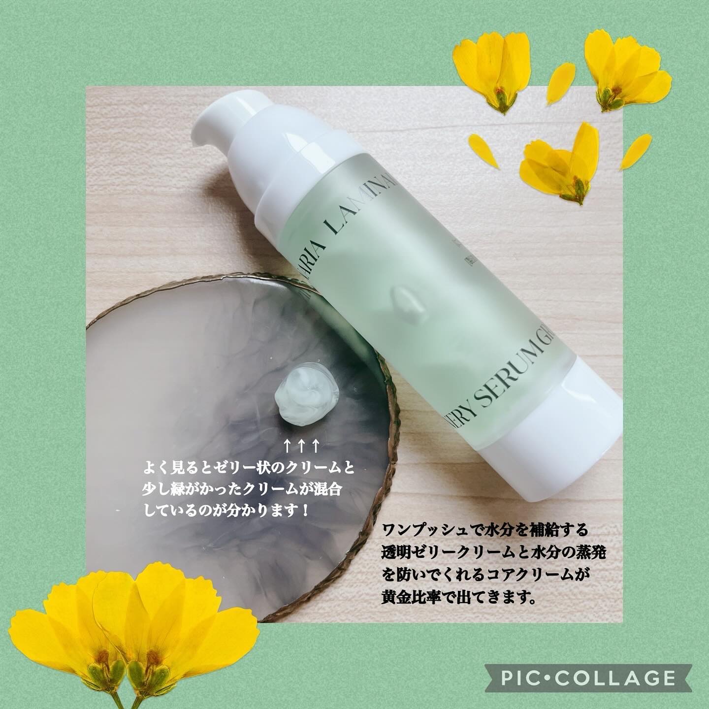 ラミナリア グリナリーセラム 35ml/ShionLe/美容液を使ったクチコミ（2枚目）
