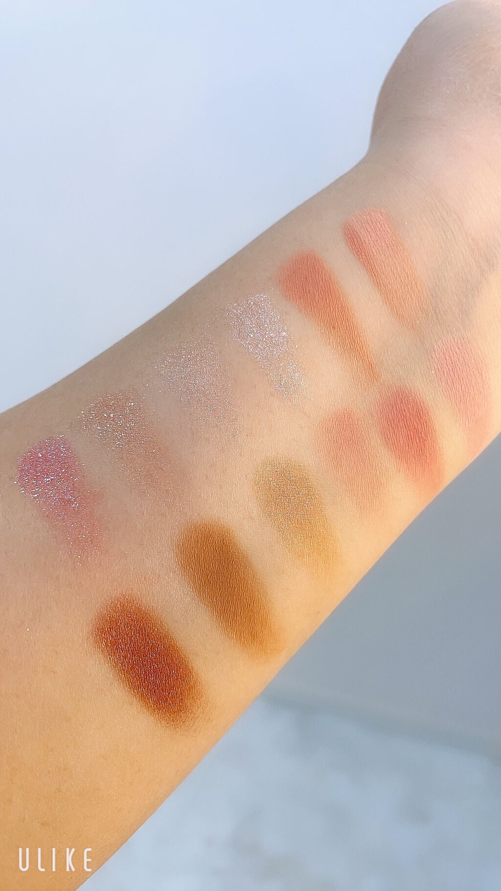 アリスドリームランドシリーズ 12色アイシャドウパレット(ZEESEA×大英博物館)/ZEESEA/アイシャドウパレットを使ったクチコミ(3枚目)