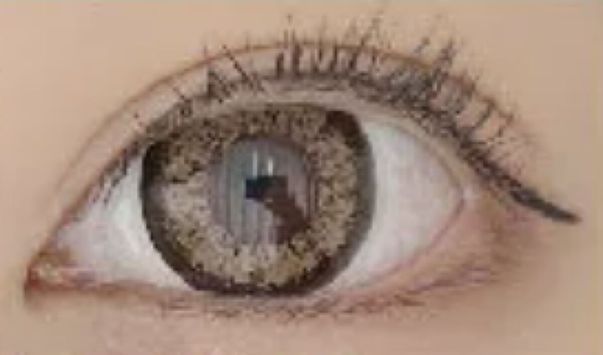 Little Honeypsマンスリー ＃Re:ロイヤルハニー