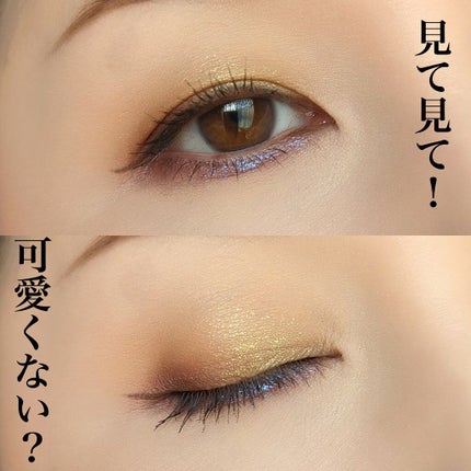 パンプキン スパイス アイシャドウ パレット(旧)/Too Faced/アイシャドウパレットを使ったクチコミ(2枚目)