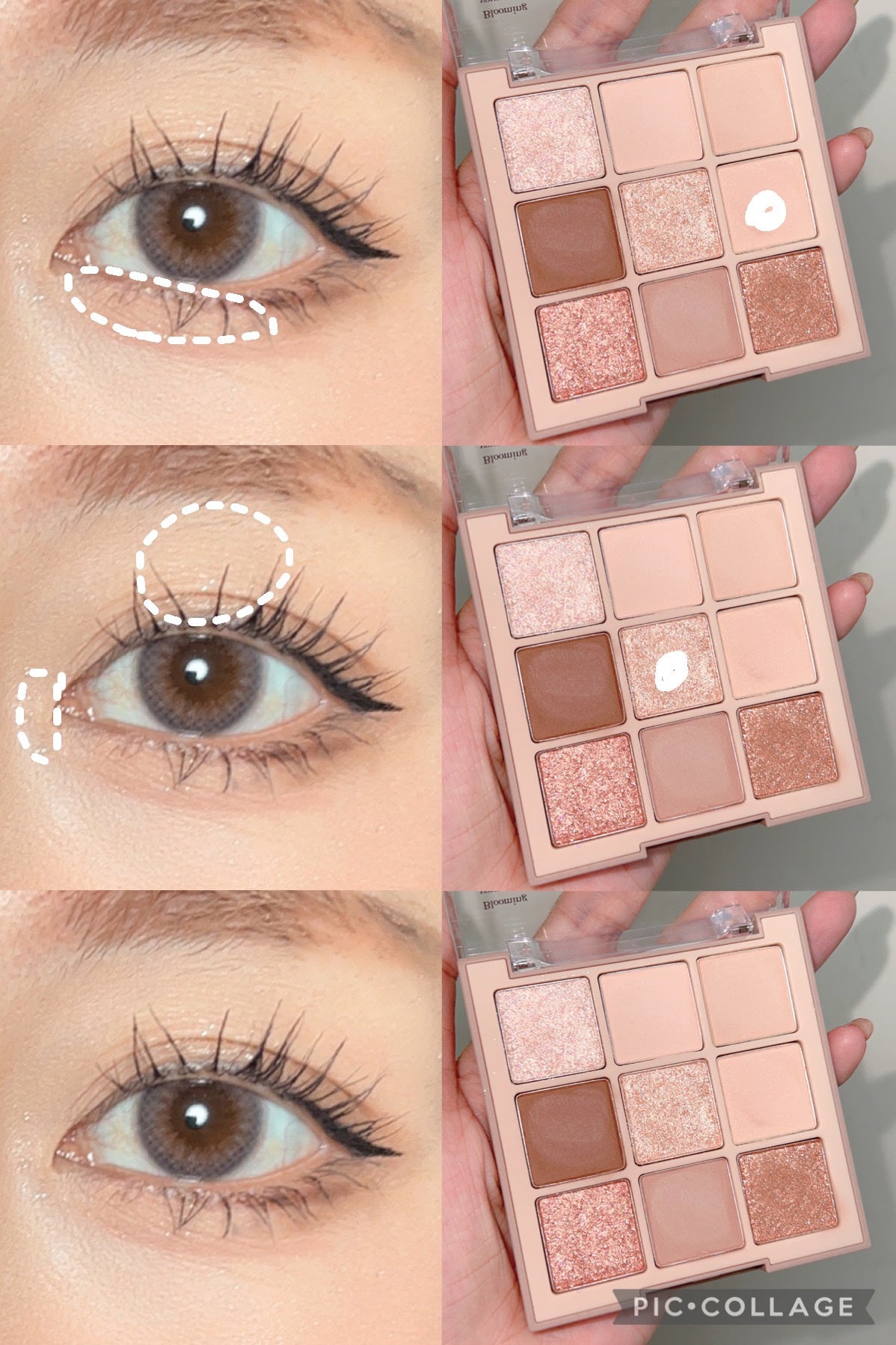 シャドウパレット/dasique/アイシャドウパレットを使ったクチコミ(5枚目)