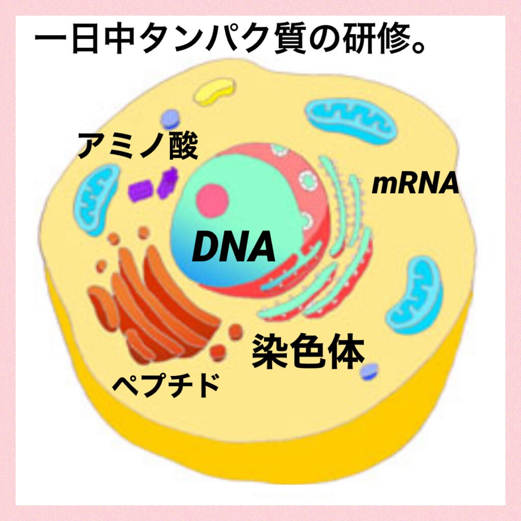 マルチビタミン&ミネラル/ネイチャーメイド/健康サプリメントを使ったクチコミ(2枚目)