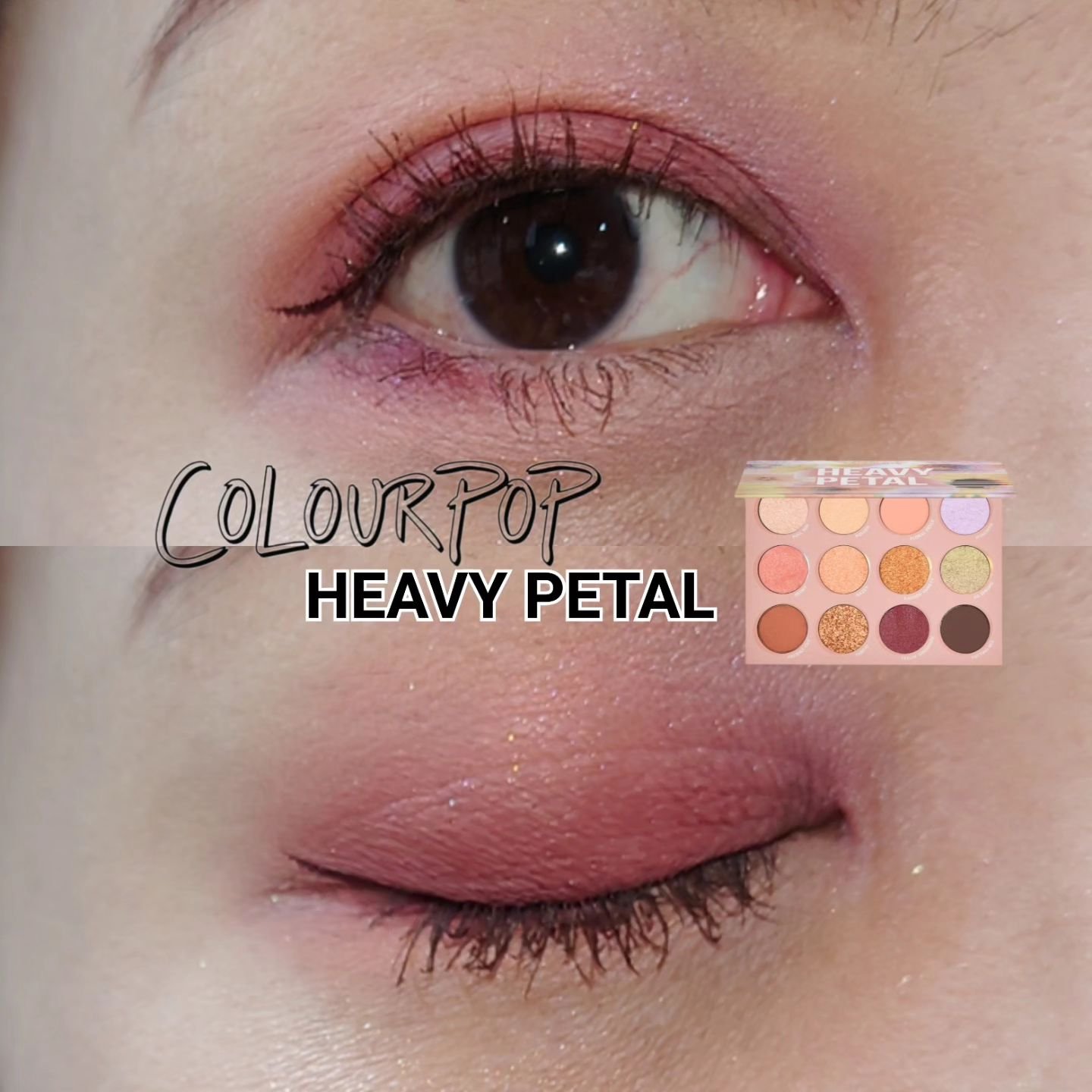 HEAVY PETAL/ColourPop/アイシャドウパレットを使ったクチコミ（1枚目）