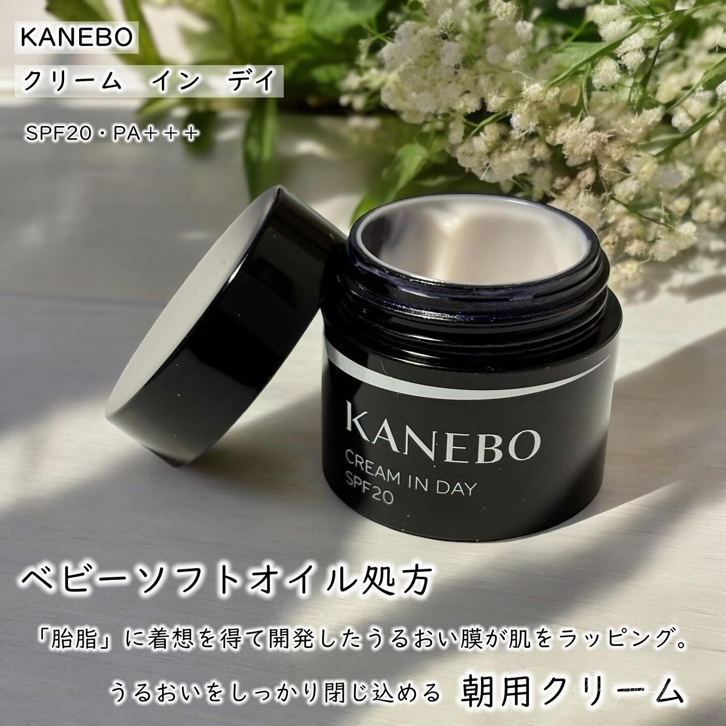 ライブリースキン　ウェア/KANEBO/クリーム・エマルジョンファンデーションを使ったクチコミ（2枚目）