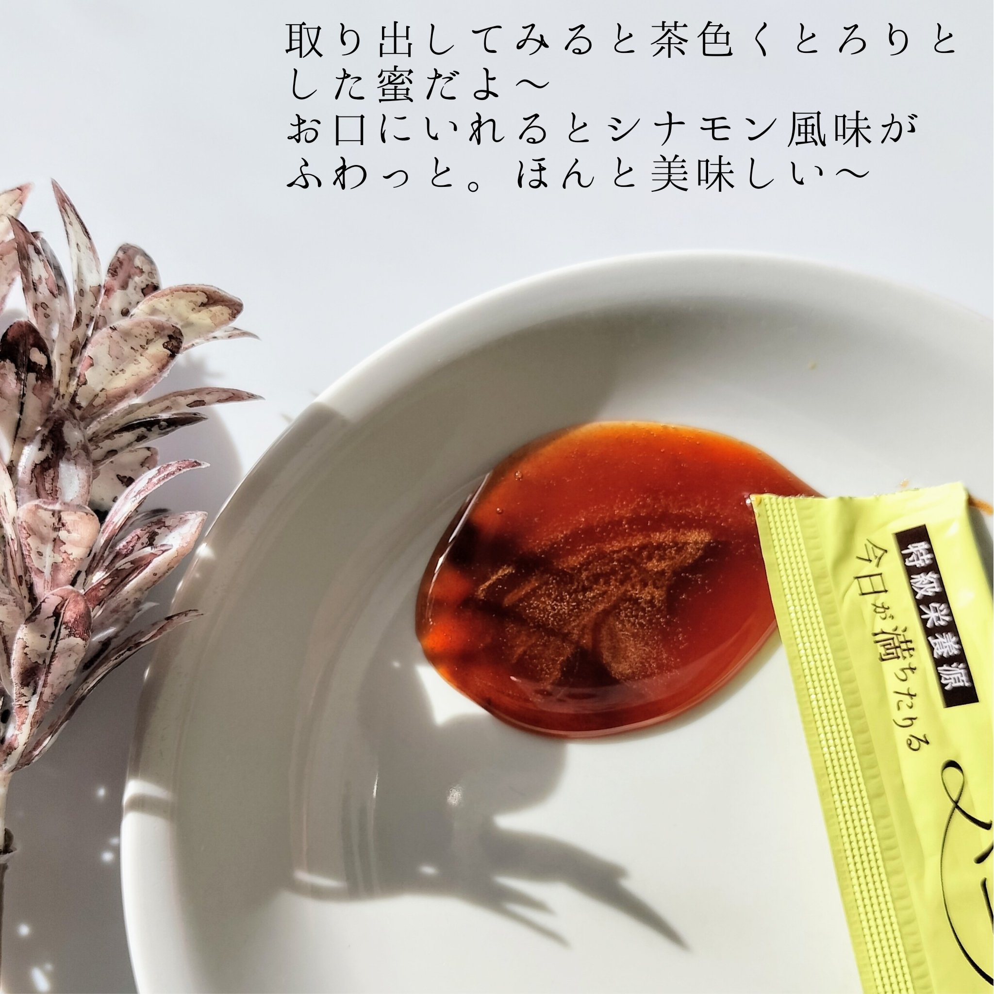 今日が満ちたりる　ハーブ蜜/Naleru/その他を使ったクチコミ（3枚目）