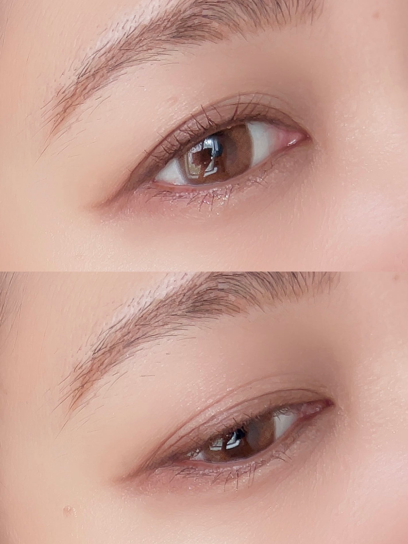 ヴィーガンフェイスオールパレット/AMUSE/アイシャドウパレットを使ったクチコミ(7枚目)