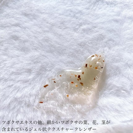 フィトリリーフシカジェルクレンザー/THANK YOU FARMER/その他洗顔料を使ったクチコミ(3枚目)