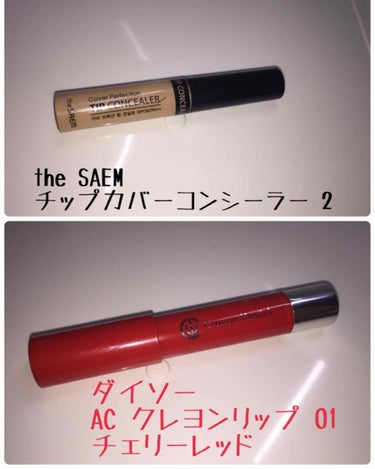 カバーパーフェクション チップコンシーラー/the SAEM/リキッドコンシーラーを使ったクチコミ（2枚目）