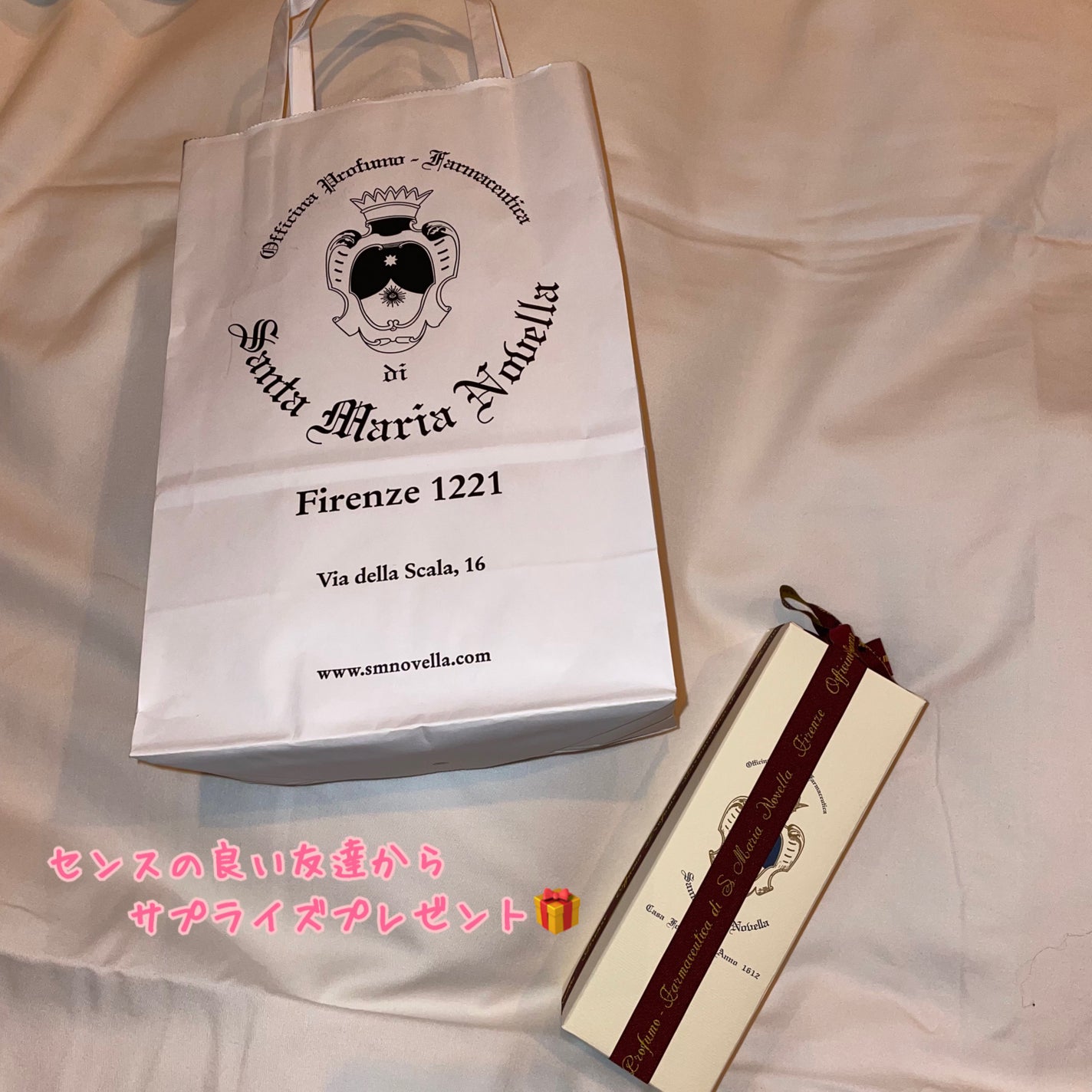 除菌リフレッシュナー/サンタマリアノヴェッラ/その他を使ったクチコミ(1枚目)