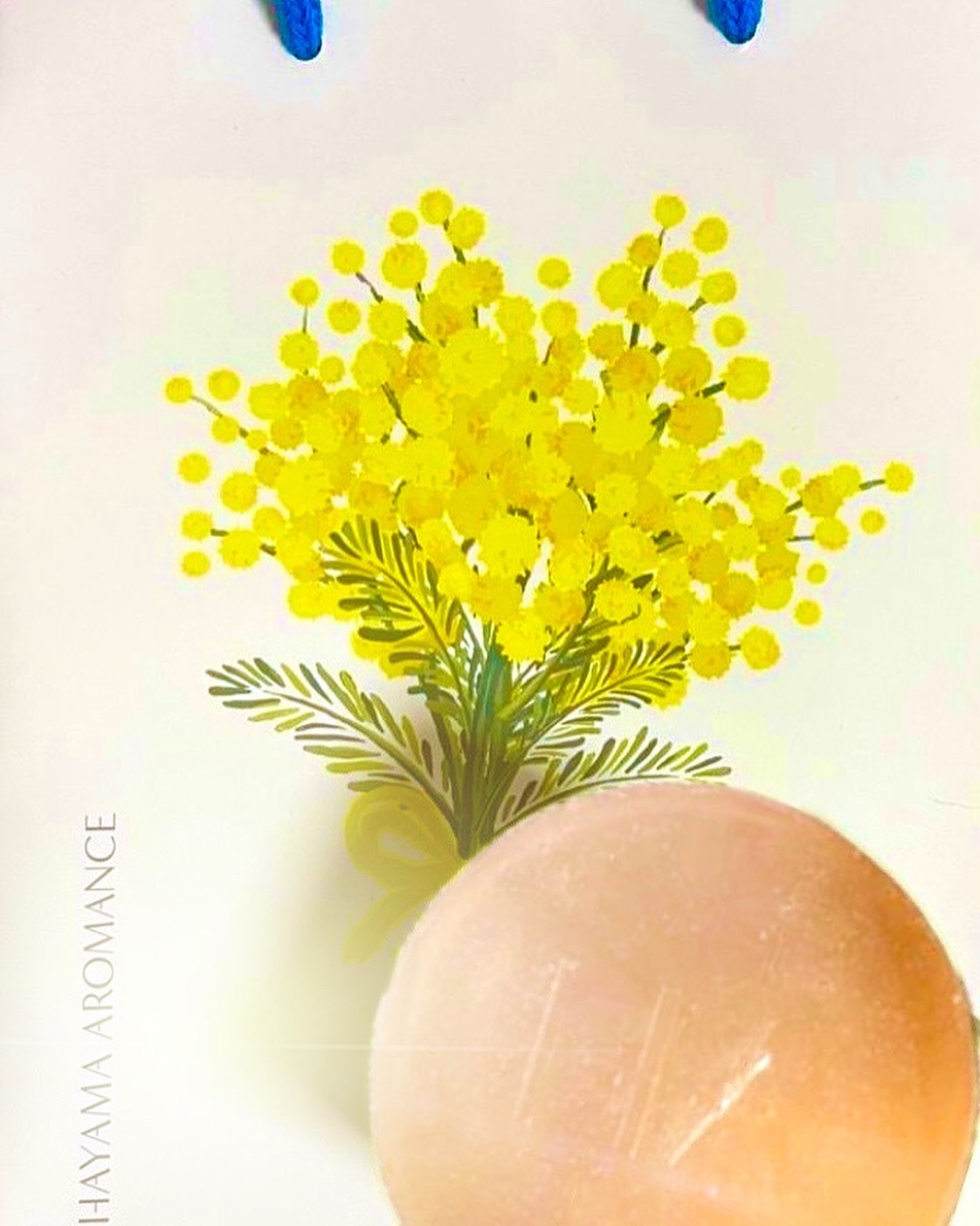 Audrey フレグランス サボン/HAYAMA AROMANCE/ボディ石鹸を使ったクチコミ（1枚目）