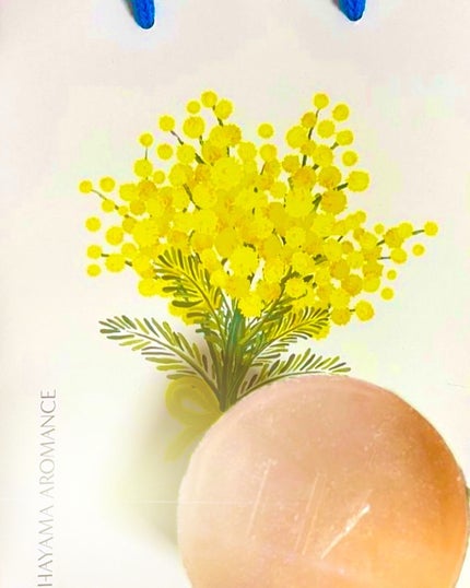 Audrey フレグランス サボン/HAYAMA AROMANCE/ボディ石鹸を使ったクチコミ(1枚目)