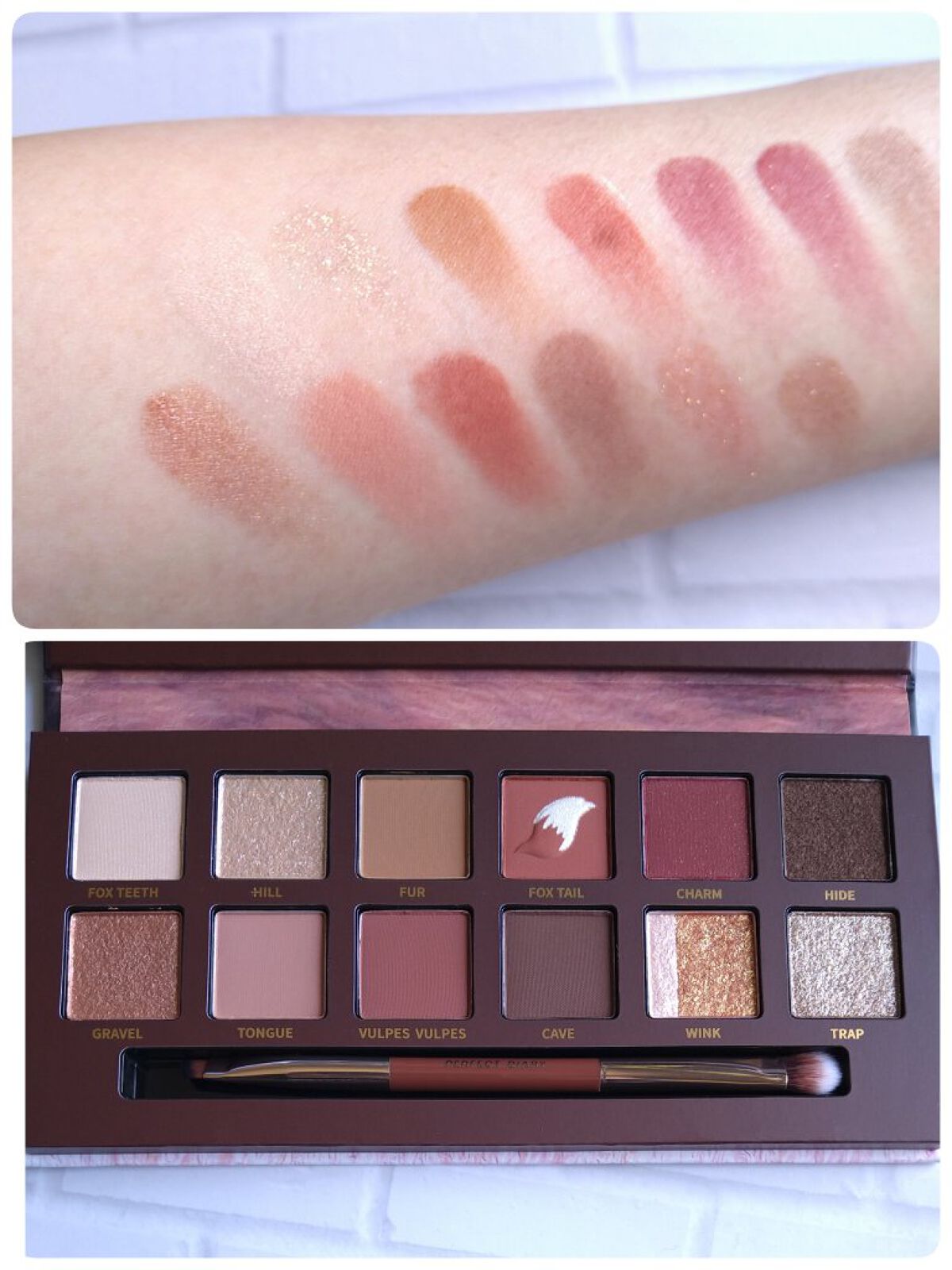 エクスプローラ12色 動物アイシャドウパレット/PERFECT DIARY/アイシャドウパレットを使ったクチコミ（2枚目）