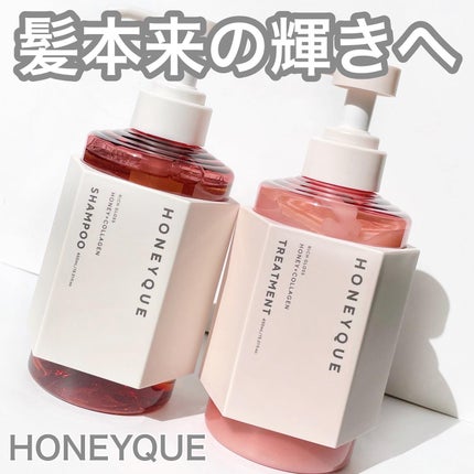 リッチグロス シャンプー シャイニー/ヘアトリートメント シャイニー/ハニーク/市販シャンプーを使ったクチコミ(1枚目)