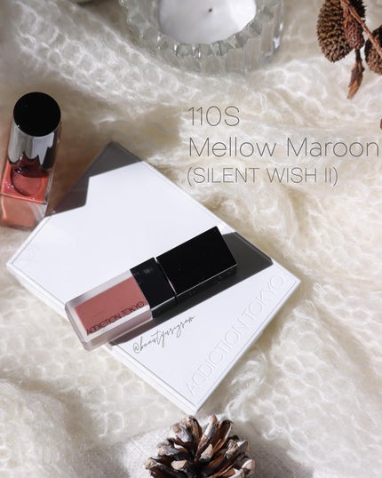 ホリデー アディクション サイレント ウィッシュⅡ /ADDICTION/メイクアップキットを使ったクチコミ(5枚目)