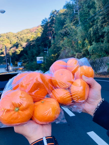 メグ on LIPS 「静岡ビタミンCの旅🍊🍓青島みかん🍊紅ほっぺ🍓朝からずーっとフル..」(5枚目)