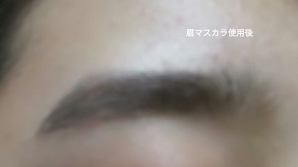 フィルム眉カラー/デジャヴュ/眉マスカラを使ったクチコミ(5枚目)