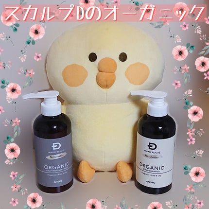 スカルプD ボーテ ナチュラスター スカルプシャンプー/トリートメントパック/アンファー(スカルプD)/シャンプー・コンディショナーを使ったクチコミ(1枚目)