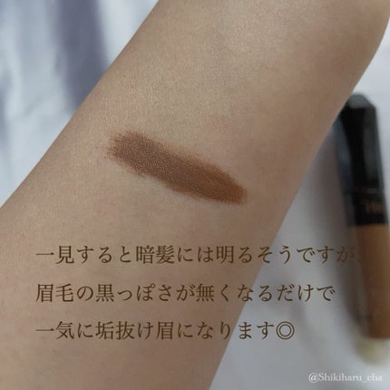 カラーリングアイブロウ/ヘビーローテーション/眉マスカラを使ったクチコミ(3枚目)