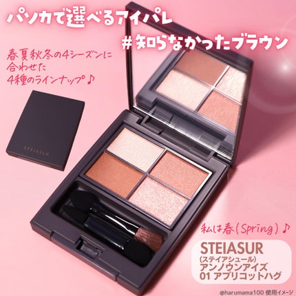 アンノウンアイズ/STEIASUR(ステイアシュール)/アイシャドウパレットを使ったクチコミ(2枚目)