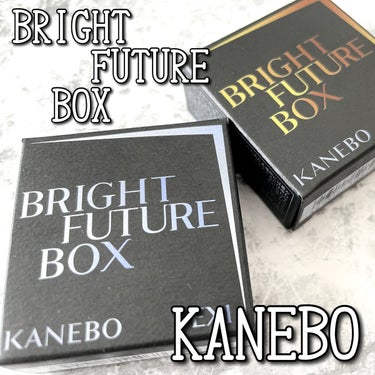 ブライトフューチャーボックス EX1 It's never too late to change yourself/KANEBO/シングルアイシャドウを使ったクチコミ（1枚目）