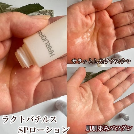 ã䜿ã£ãã¯ãã³ãïŒ2æç®ïŒ