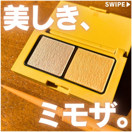 エテュセ アイエディション(カラーパレット)/ettusais/アイシャドウパレットを使ったクチコミ(1枚目)