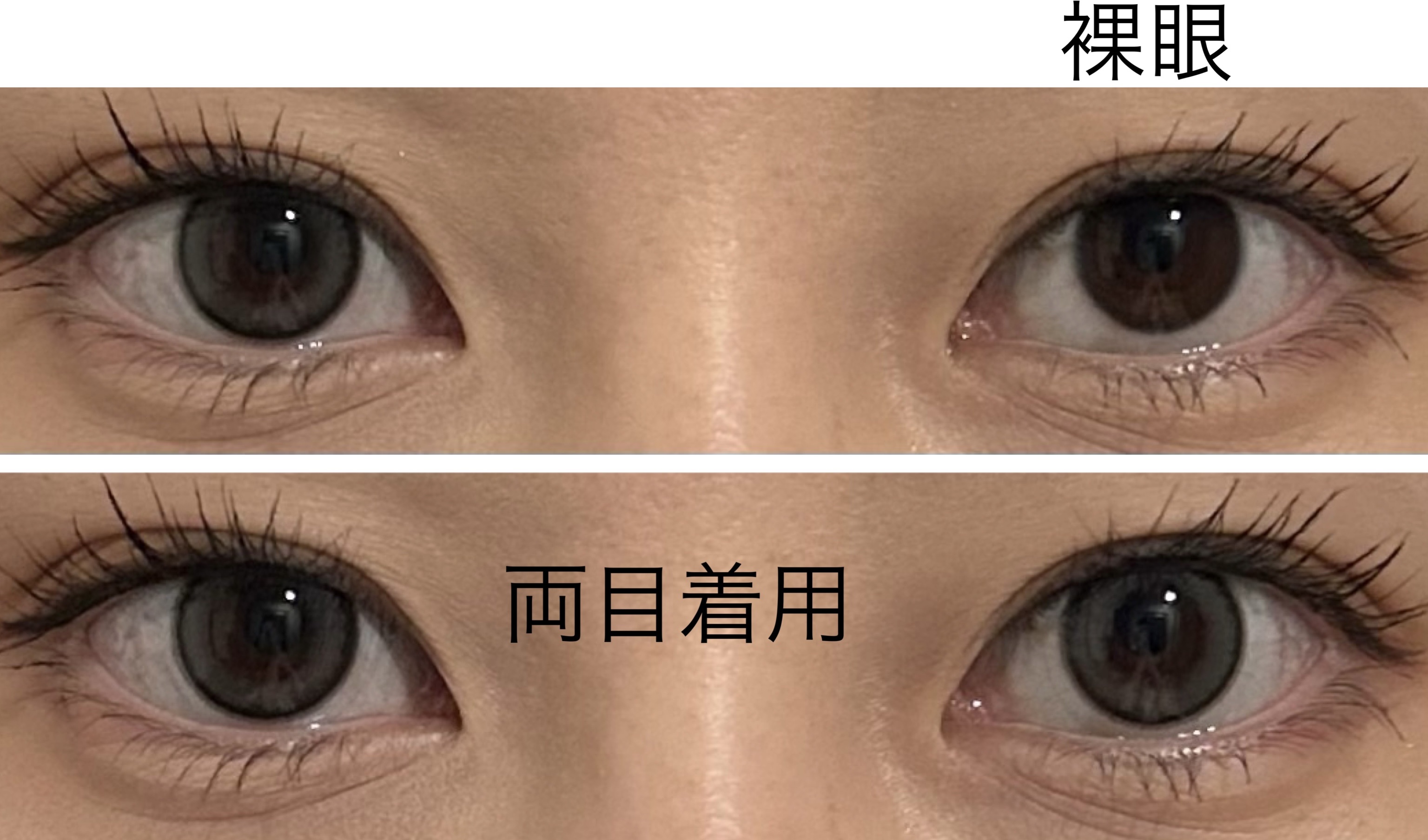 エバーカラーワンデーミリモア まどわせパール/エバーカラー/ワンデー（１DAY）カラコンを使ったクチコミ（3枚目）