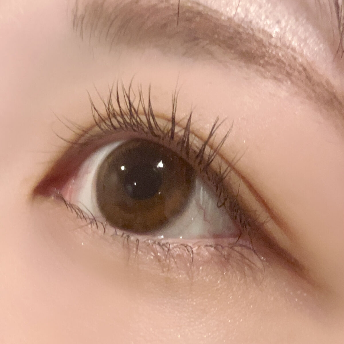 アイラッシュカーラー /SHISEIDO/ビューラーを使ったクチコミ（2枚目）