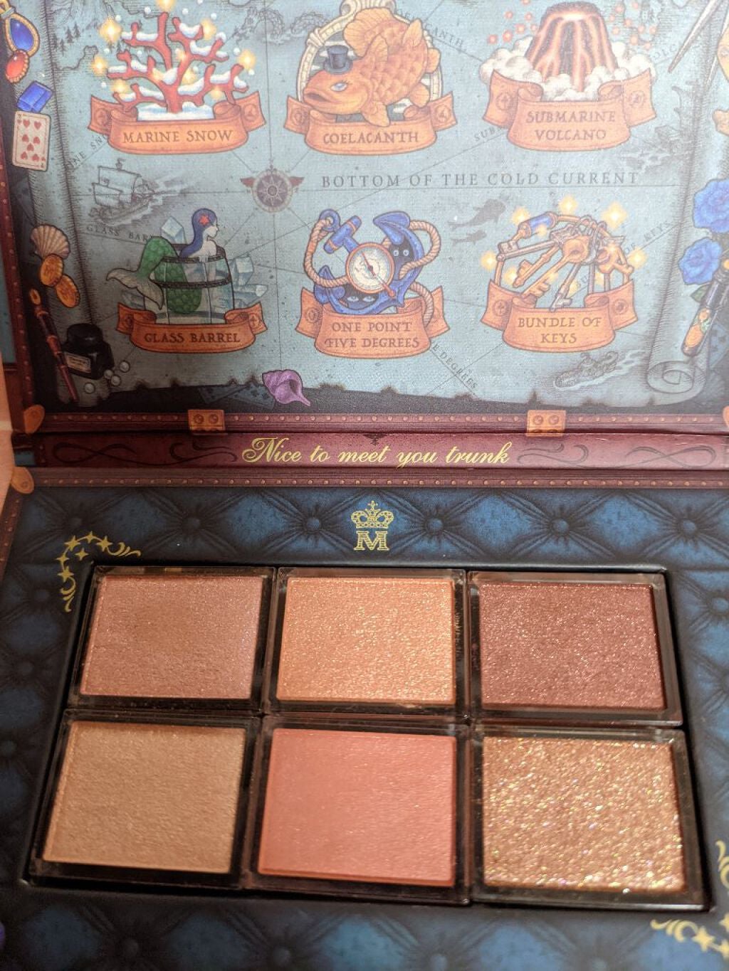 ナイストゥミーチュートランク/MAJOLICA MAJORCA/アイシャドウパレットを使ったクチコミ(1枚目)