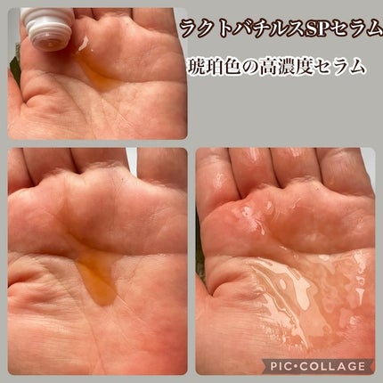 ã䜿ã£ãã¯ãã³ãïŒ3æç®ïŒ