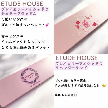 プレイカラー アイシャドウ/ETUDE/アイシャドウパレットを使ったクチコミ（2枚目）