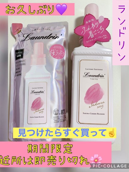柔軟剤 サクラチェリーブロッサム 2025/ランドリン/柔軟剤を使ったクチコミ(1枚目)